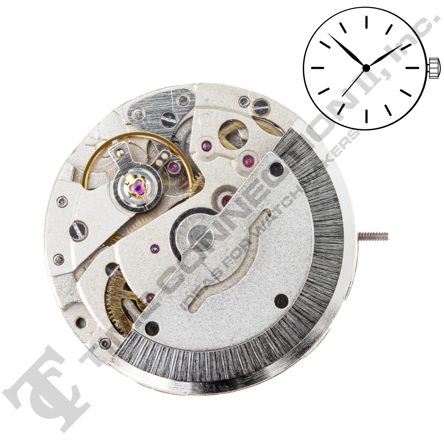 Chinese DG2800 Automatic Movement