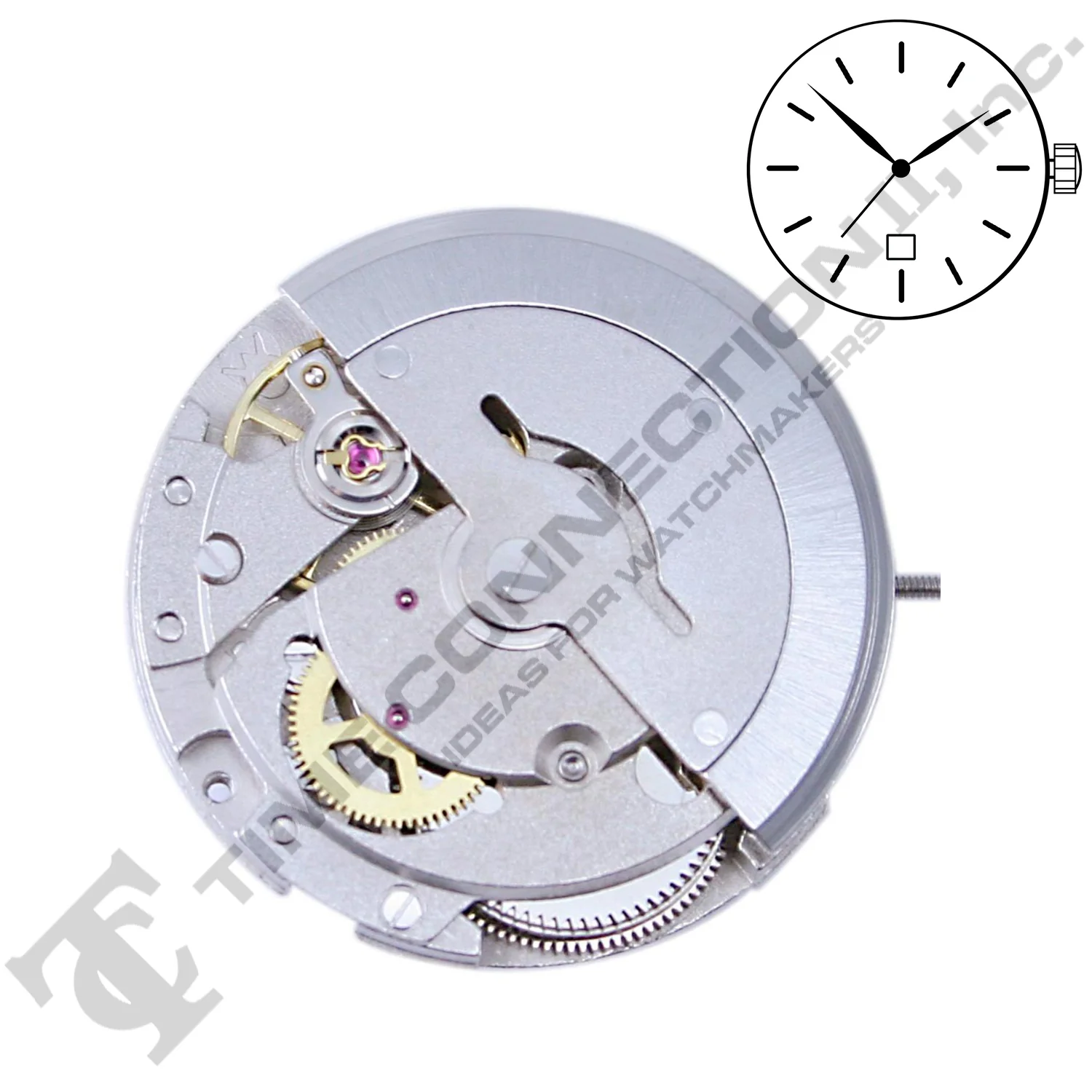 Chinese DG2816-D6 Automatic Movement Ht. 7.50MM