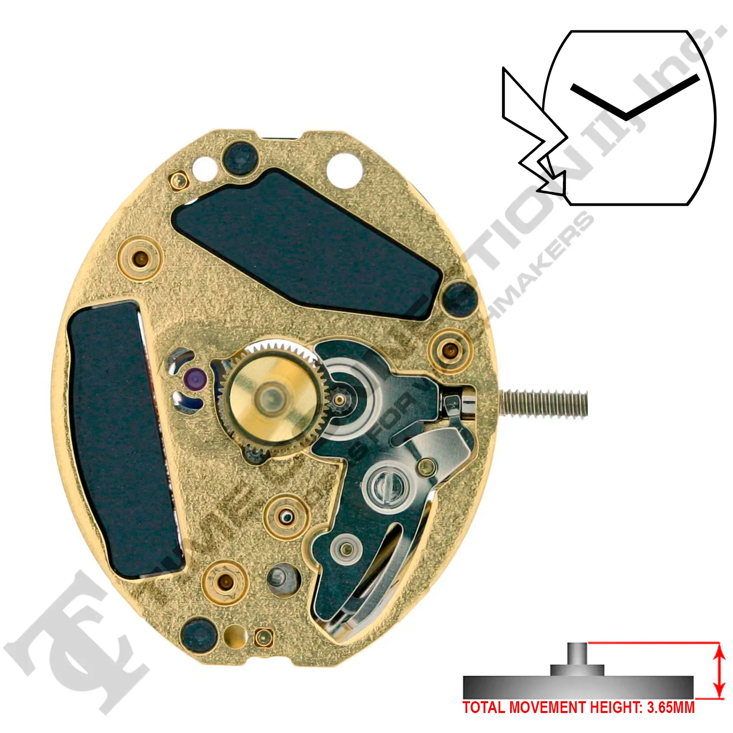 ETA 901.001 2 Hands Swiss Made Quartz Movement (Various Heights) - Image 4