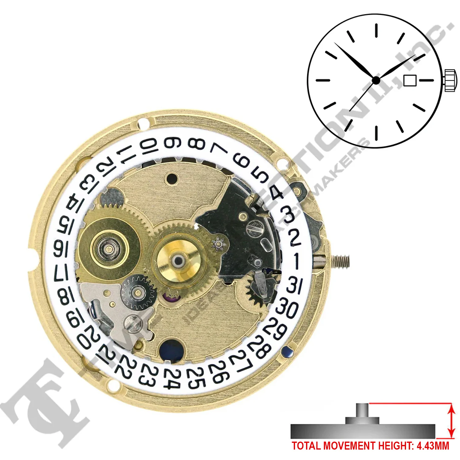 ETA 956.112 High Canon Pinon Swiss Made Quartz Movement (Various Heights) - Image 4
