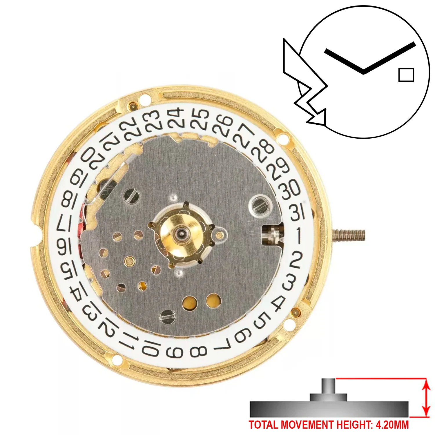 ETA F03.111 / F03.115 2 Hands Swiss Made Quartz Movement (Various Heights) - Image 4