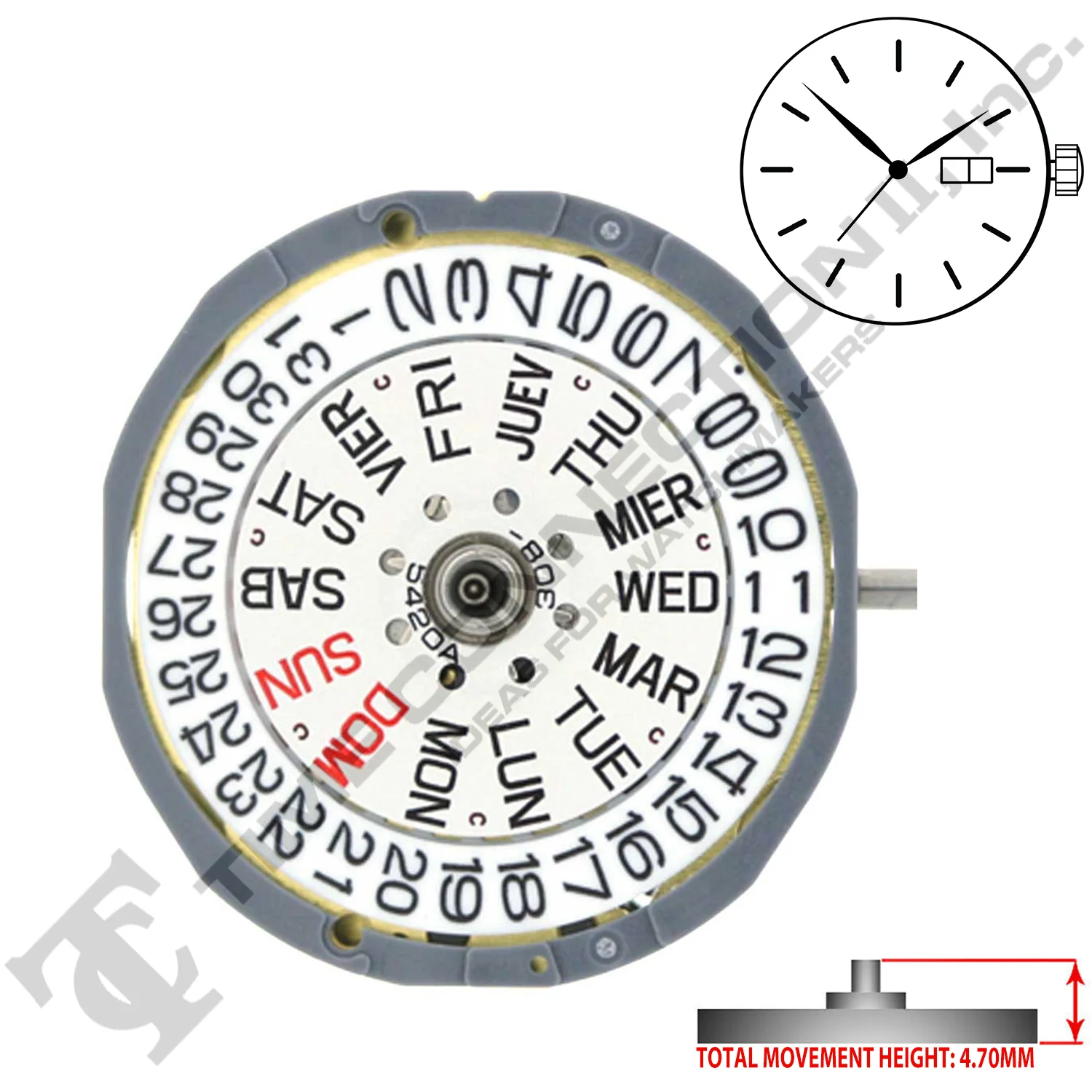 Miyota/Citizen LTD 6L02 3 Hands Japan Quartz Movement Ht. 4.70MM - Image 2