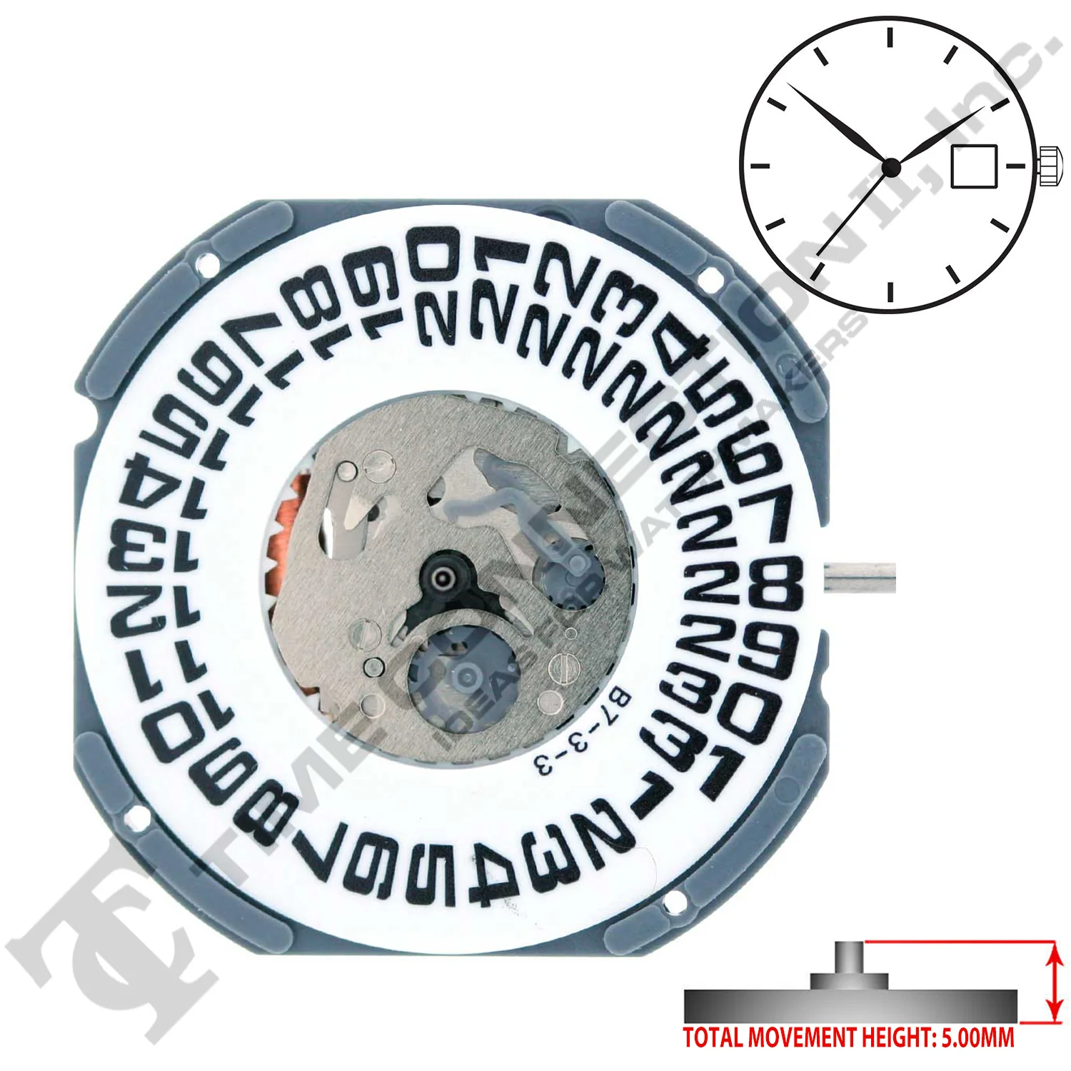 Miyota/Citizen LTD 6M53 3 Hands Japan Quartz Movement Ht. 5.00MM - Image 2
