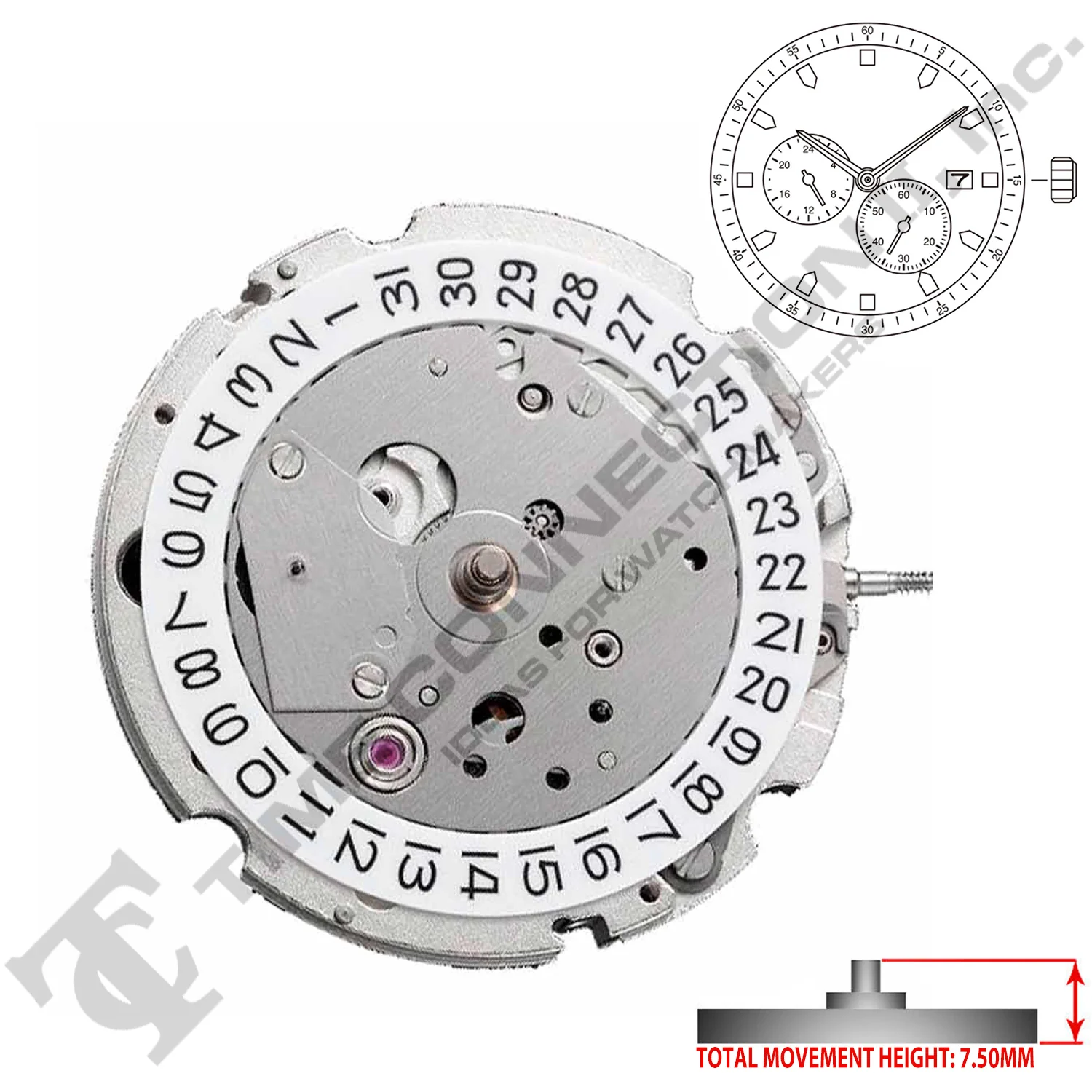Miyota/Citizen LTD 8219 Japan Automatic Movement Ht. 7.5MM - Image 2