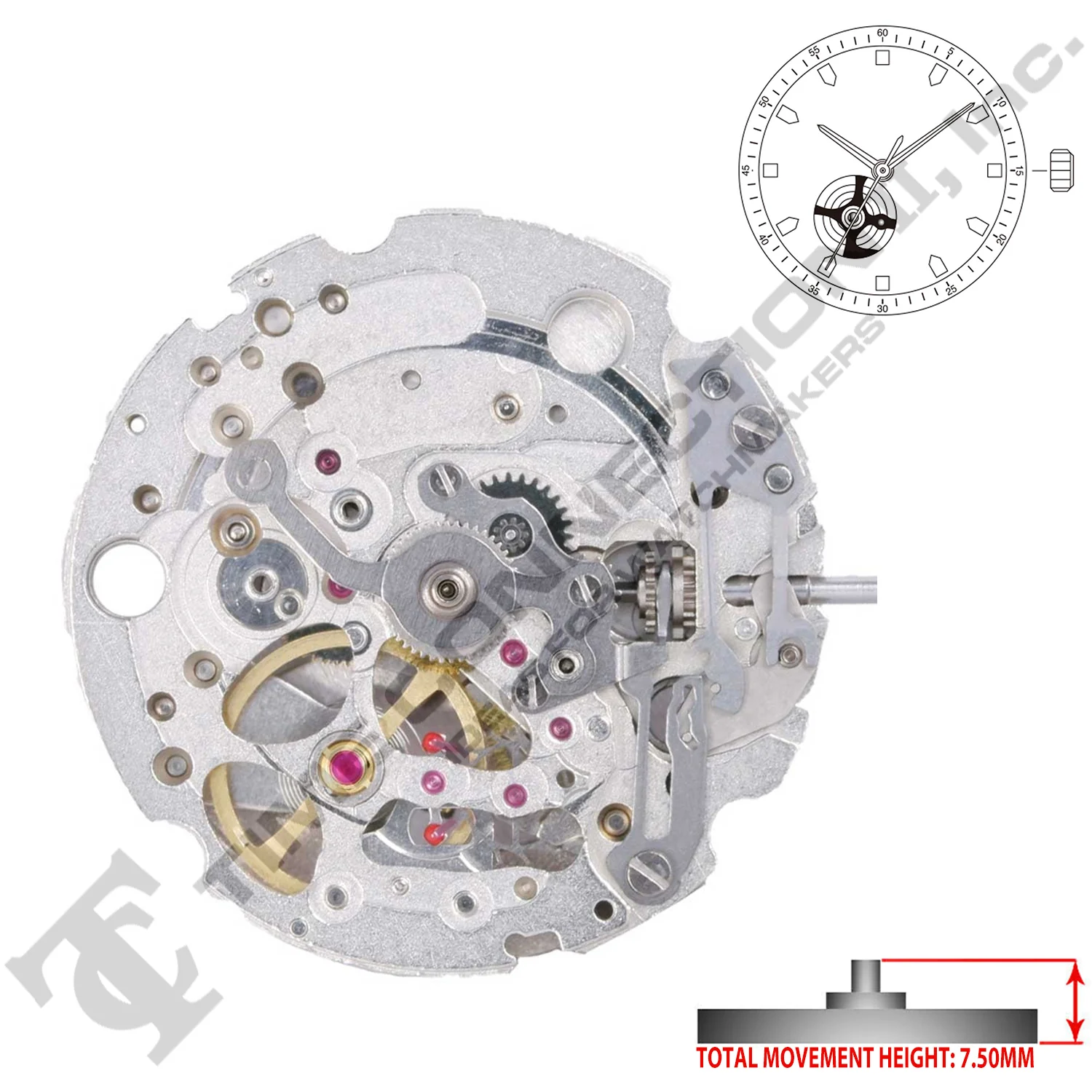 Miyota/Citizen LTD 82S0 Japan Automatic Movement Ht. 7.5MM - Image 2
