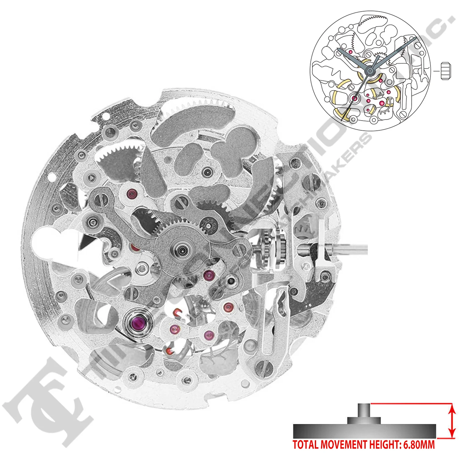 Miyota/Citizen LTD 8N24 Stainless Steel Japan Automatic Movement Ht. 6.8MM - Image 2
