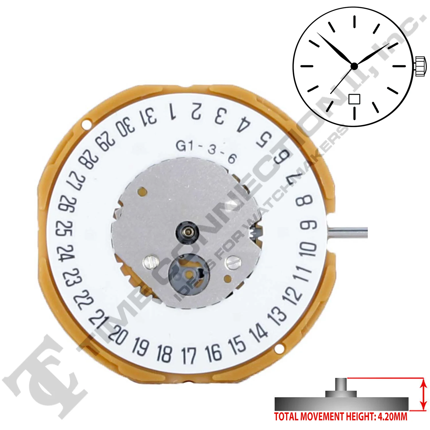 Miyota/Citizen LTD GM10-D6 Japan Quartz Movement Ht. - Image 2